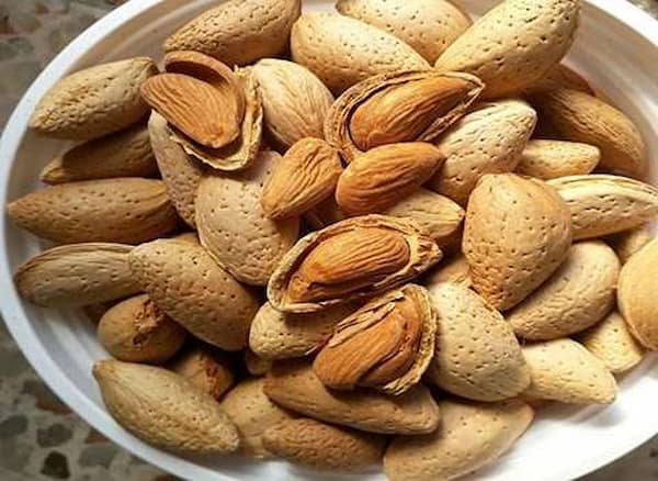 تصویر 1 از خرید و قیمت بادام مامایی خام + فروش عمده