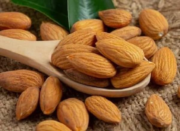تصویر 5 از خرید و قیمت بادام مامایی صادراتی + فروش عمده