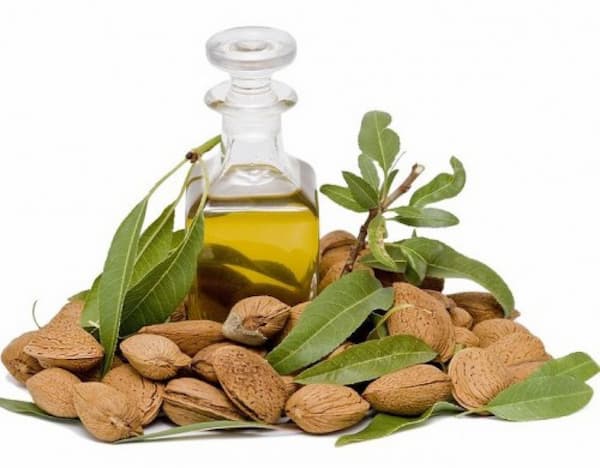 تصویر 5 از خرید و قیمت روغن بادام طبیعی + فروش عمده