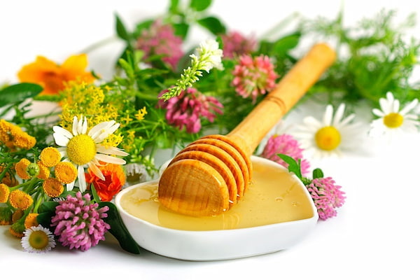 تصویر 2 از خرید عسل کوهی وحشی با کیفیت + قیمت فروش استثنایی