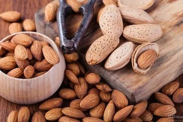 تصویر 1 از قیمت مغز بادام تلخ کوهی با کیفیت ارزان + خرید عمده