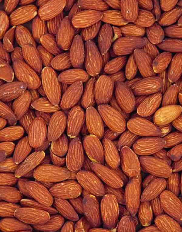 تصویر 4 از قیمت مغز بادام تلخ کوهی با کیفیت ارزان + خرید عمده