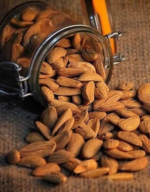 تصویر 3 از خرید و فروش مغز بادام تلخ با شرایط فوق العاده