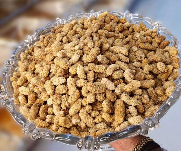 تصویر 4 از فروش میوه توت خشک + قیمت خرید به صرفه