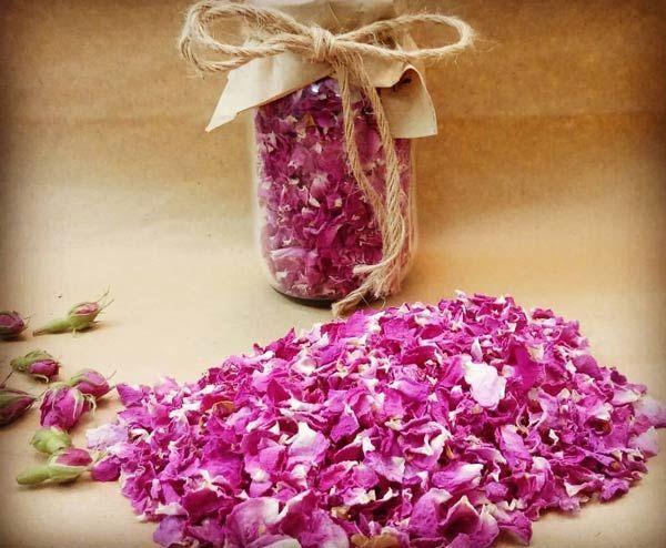 تصویر 2 از خرید و فروش پر گل محمدی خشک با شرایط فوق العاده