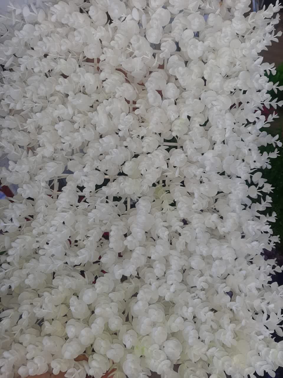 تصویر 4 از قیمت گرین وال سفید + خرید باور نکردنی