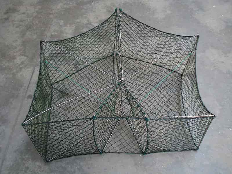 توری