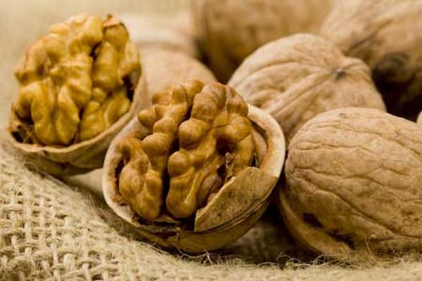 تصویر 4 از قیمت خرید مغز گردو دندانه + فروش ویژه