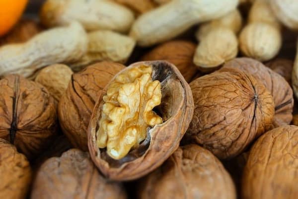 تصویر 3 از خرید و قیمت مغز گردو زربار + فروش عمده