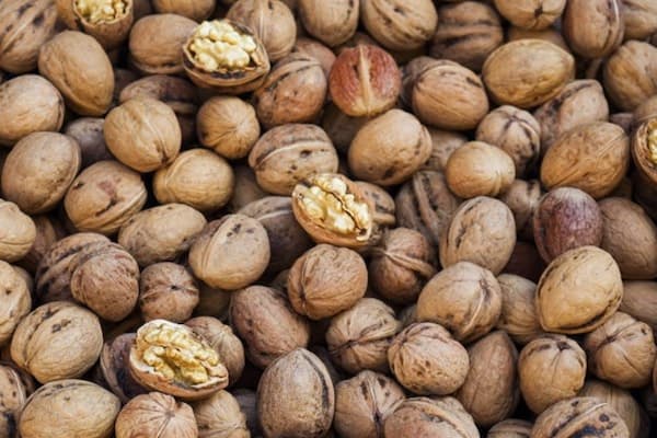 تصویر 1 از خرید و قیمت مغز گردو زربار + فروش عمده