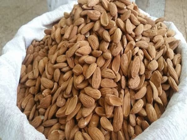 تصویر 2 از قیمت مغز بادام خام با کیفیت ارزان + خرید عمده