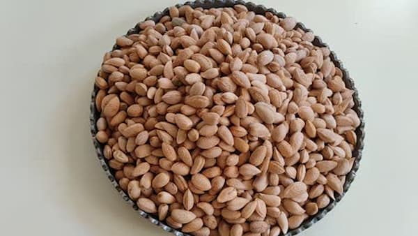 تصویر 3 از خرید صادرات مغز بادام + قیمت فروش استثنایی
