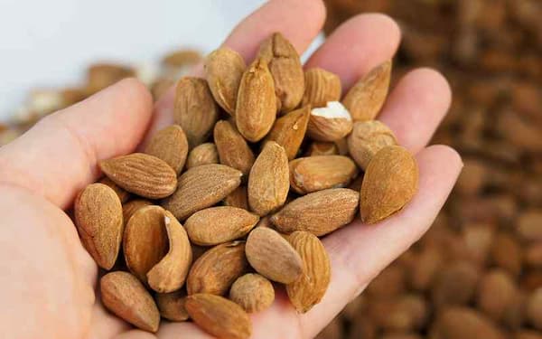 قیمت خرید مغز بادام فله با فروش عمده
