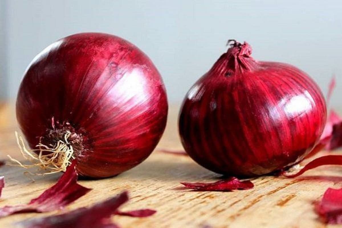 تصویر 1 از قیمت خرید پیاز قرمز اصفهان + فروش ویژه