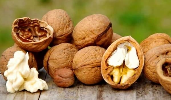 تصویر 1 از قیمت مغز گردو درجه دو + خرید باور نکردنی