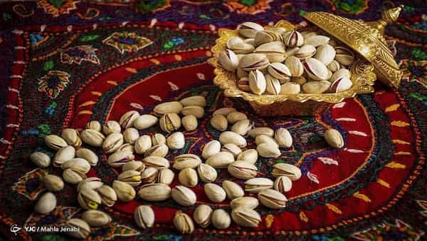 تصویر 5 از قیمت خرید پسته رفسنجان عمده + فروش ویژه