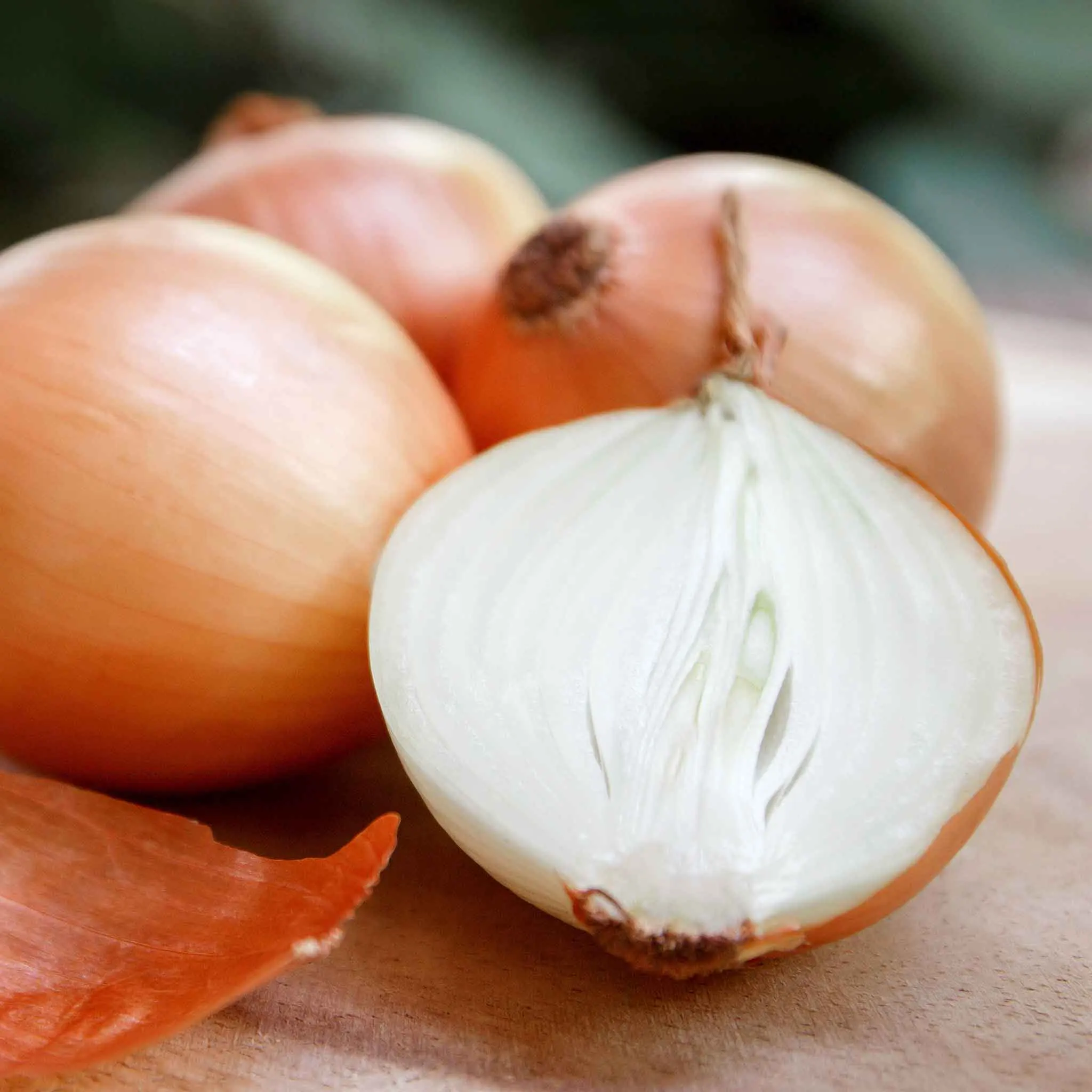 تصویر 2 از قیمت خرید پیاز زرد ریز + فروش ویژه
