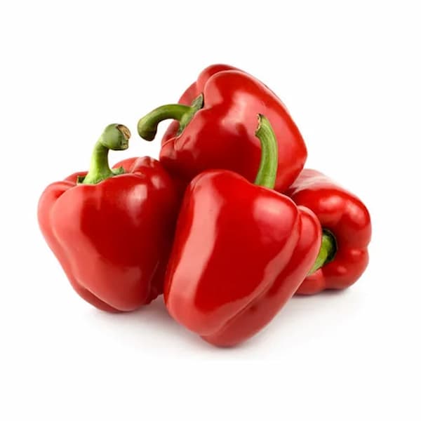 تصویر 2 از قیمت خرید فلفل دلمه ای قرمز + فروش ویژه