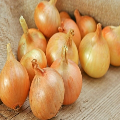 تصویر 4 از قیمت خرید پیاز زرد درجه یک + فروش ویژه