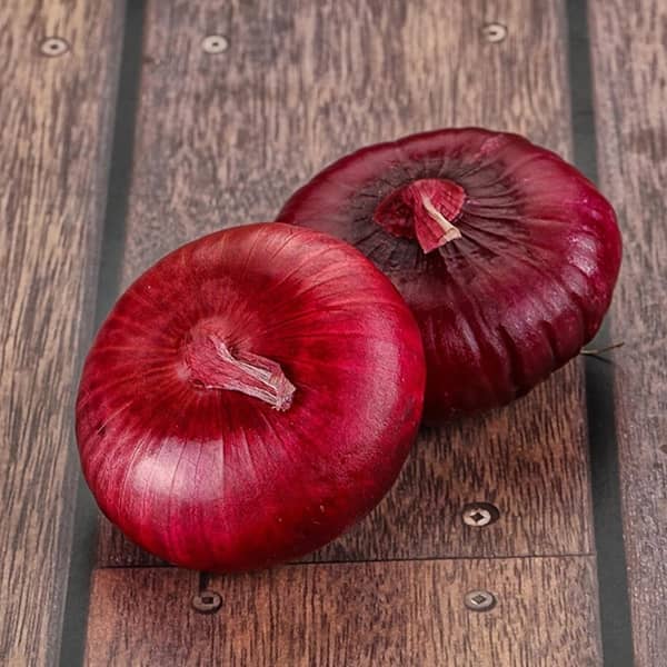 تصویر 4 از فروش پیاز بنفش کوچک + قیمت خرید به صرفه