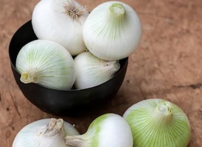 تصویر 5 از خرید و فروش پیاز سفید شیرین با شرایط فوق العاده