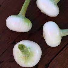 تصویر 3 از قیمت خرید پیاز سفید صادراتی + فروش ویژه