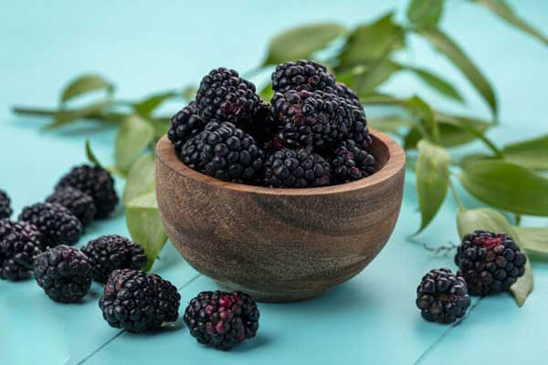 تصویر 5 از فروش توت خشک قرمز + قیمت خرید به صرفه