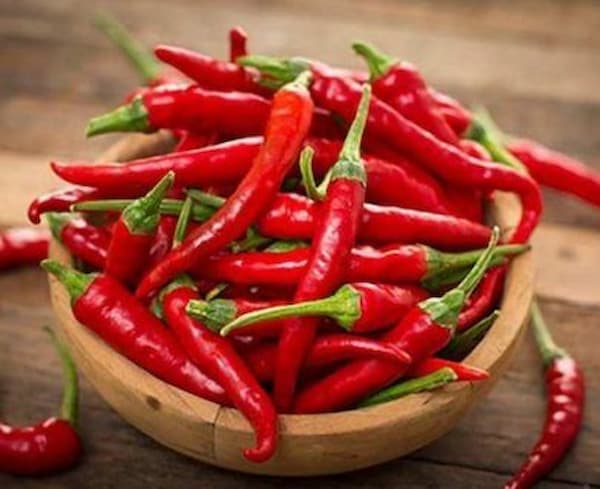 تصویر 3 از قیمت خرید فلفل دلمه کاپی + فروش ویژه