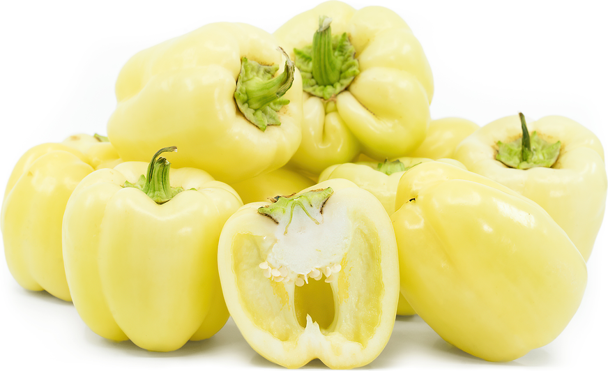 تصویر 5 از قیمت خرید فلفل دلمه سفید + فروش ویژه