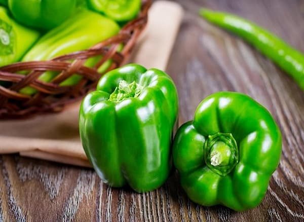 تصویر 2 از قیمت خرید فلفل دلمه سبز + فروش ویژه