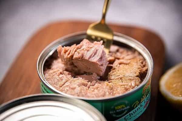 کنسرو تن ماهی ساندویچی بدون ادویه