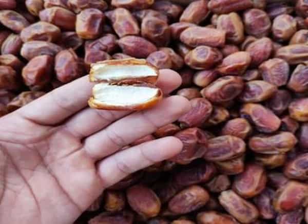 تصویر 2 از خرید و فروش خرما استعمران درجه یک با شرایط فوق العاده