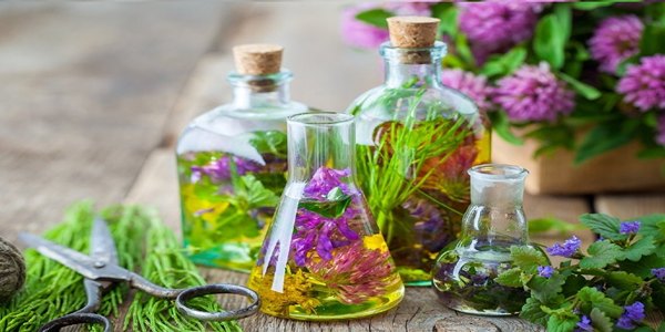 تصویر 1 از خرید عرق کاسنی یک لیتری + قیمت استثنایی