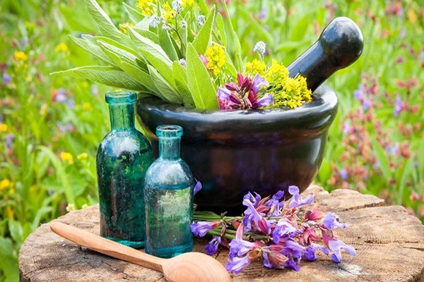 تصویر 3 از قیمت شربت عرق کاسنی با کیفیت ارزان + خرید عمده