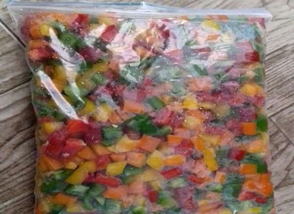 تصویر 1 از قیمت خرید فلفل دلمه نگینی + فروش ویژه