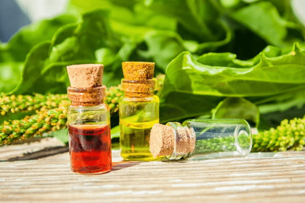 تصویر 4 از خرید عرق رازیانه غلیظ یک لیتری + قیمت به صرفه