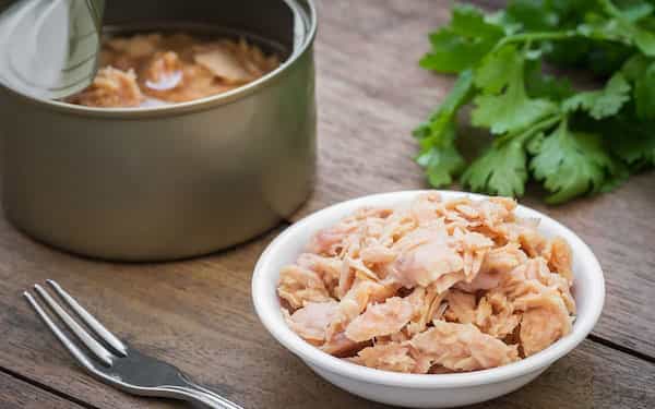 تصویر 2 از خرید کنسرو تن ماهی شیشه ای قیمت فروش استثنایی