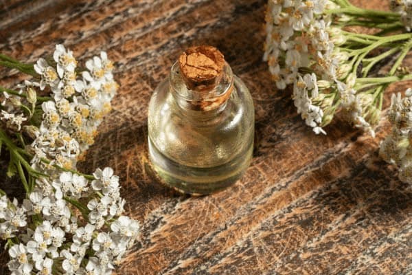 تصویر 3 از قیمت عرق بومادران اصل یک لیتری + خرید عمده
