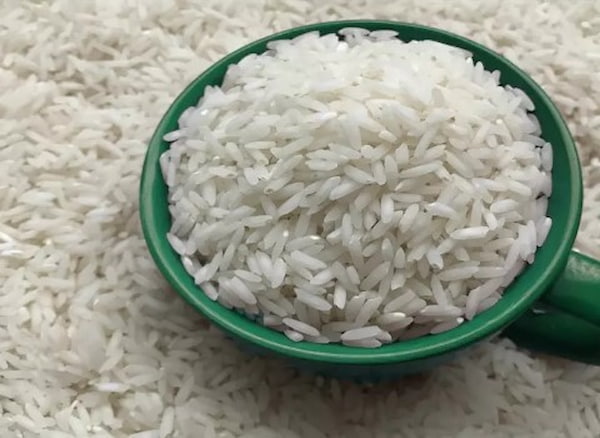تصویر 5 از خرید برنج ندا طارم مازندران با شرایط خاص