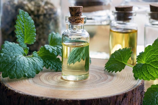 تصویر 5 از قیمت خرید عرق نعنا 20 لیتری با فروش عمده