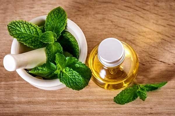 تصویر 2 از قیمت خرید عرق نعنا 20 لیتری با فروش عمده