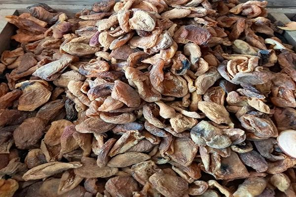 تصویر 5 از قیمت خرید قیسی آفتاب خشک + فروش ویژه