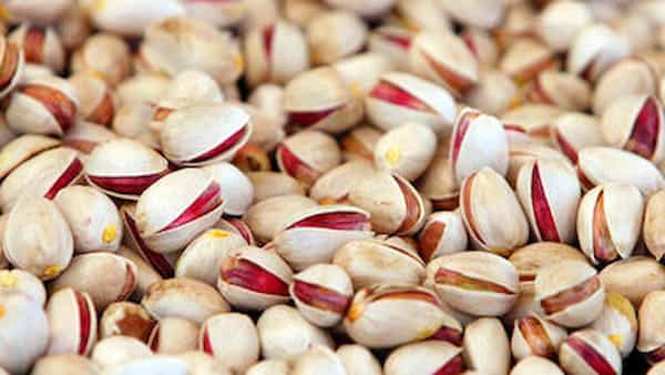 تصویر 2 از قیمت خرید پسته فندقی زعفرانی + فروش ویژه