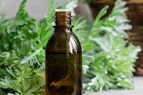 تصویر 3 از قیمت خرید شربت عرق گزنه با فروش عمده
