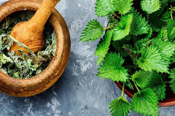 تصویر 4 از قیمت خرید شربت عرق گزنه با فروش عمده