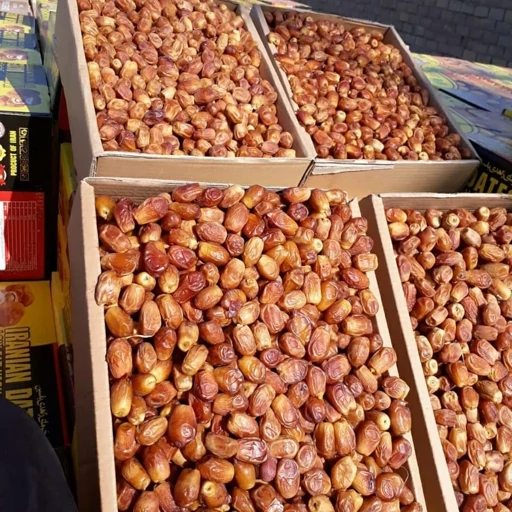 تصویر 3 از خرید و فروش خرما زاهدی فله با شرایط فوق العاده