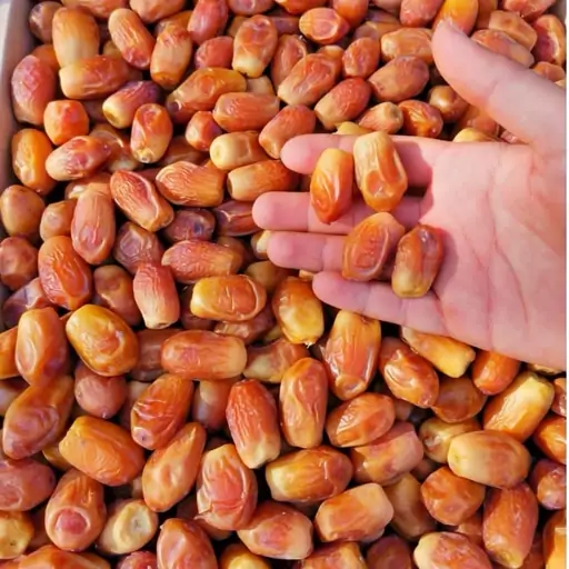 تصویر 4 از قیمت خرما زاهدی فراشبند + خرید باور نکردنی