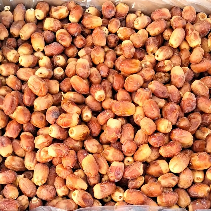 تصویر 1 از خرید و قیمت خرما زاهدی عمده + فروش عمده