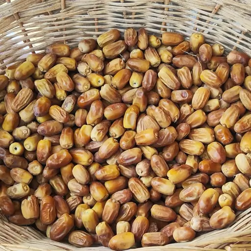 تصویر 2 از خرید و قیمت خرما زاهدی عمده + فروش عمده