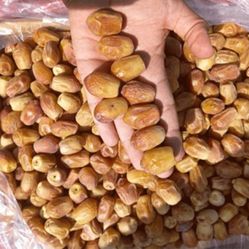تصویر 3 از خرید و قیمت خرما زاهدی عمده + فروش عمده